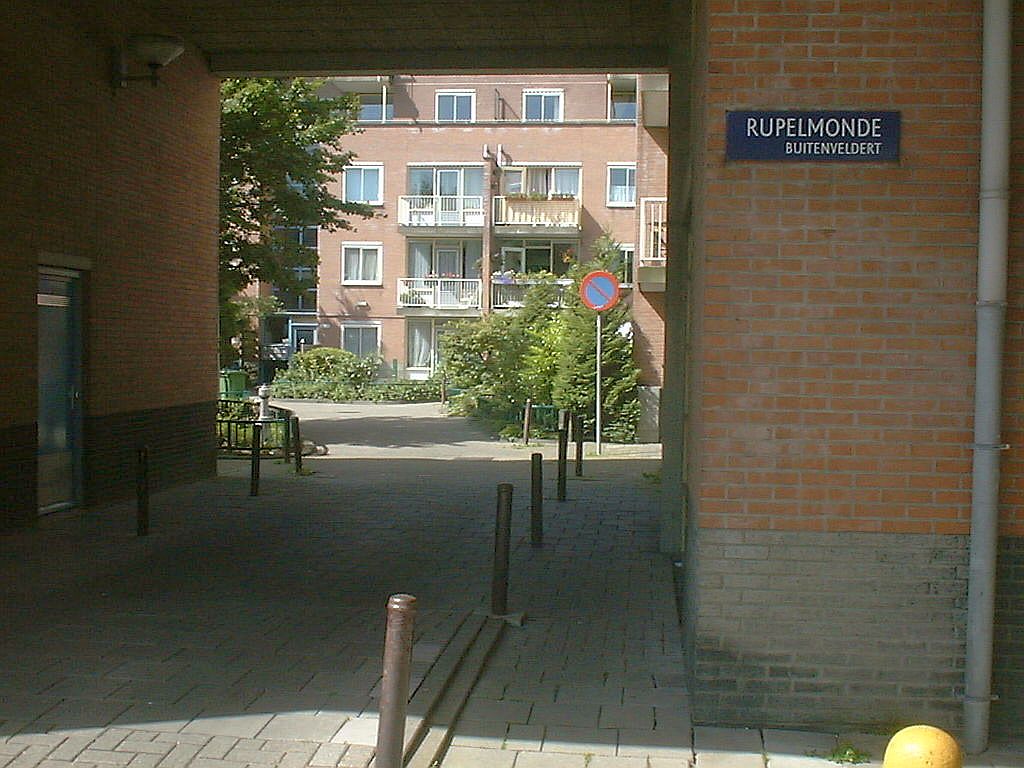 Rupelmonde - Amsterdam