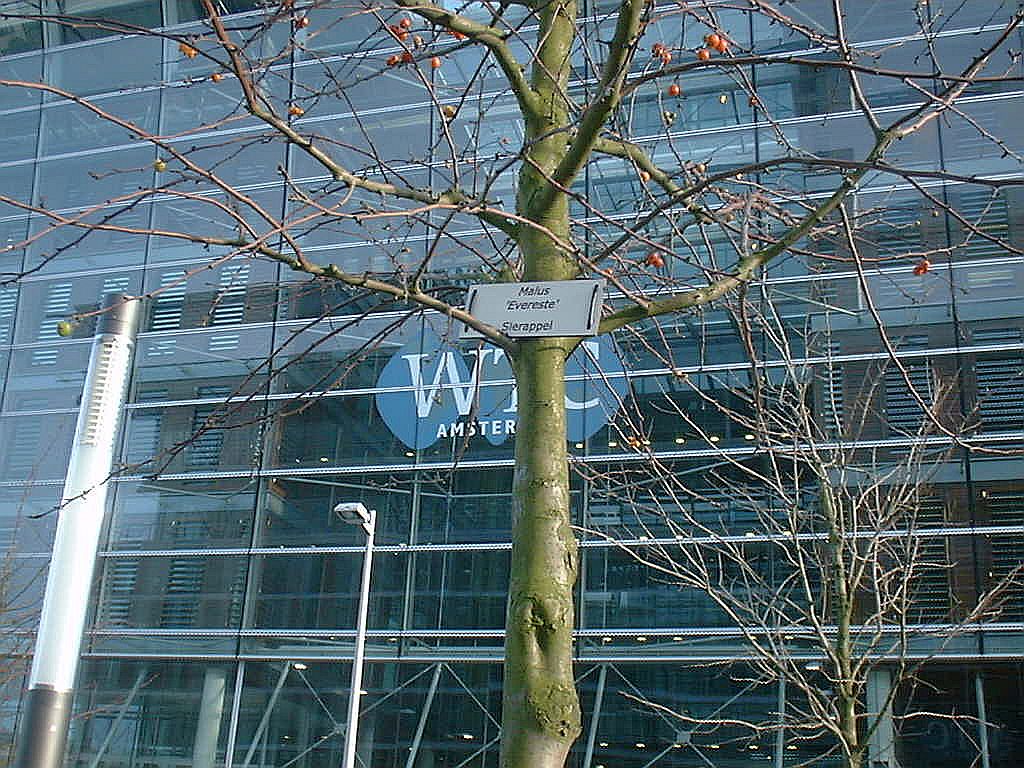 WTC Ingang Zuidplein - Amsterdam