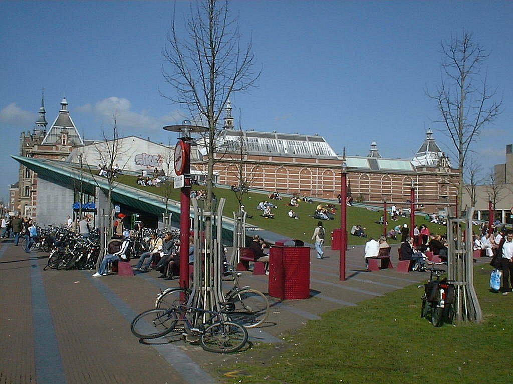 Ezelsoor - Amsterdam