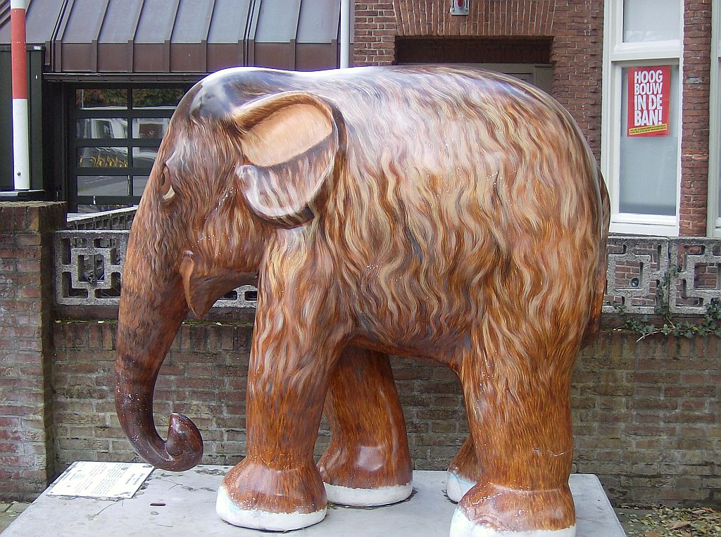 Elephant Parade 2009 - Amsterdam