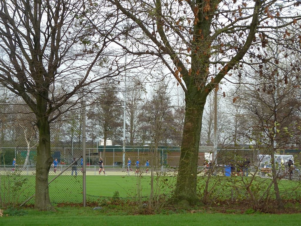 Sportpark Kadoelen - AMHC FIT - Amsterdam