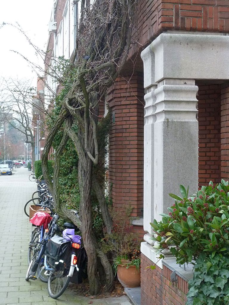 Bachstraat - Amsterdam