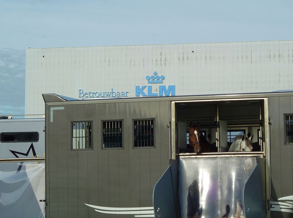 Paardensportcentrum Wennekers - Hangar 10 Albert Plesman - Amsterdam