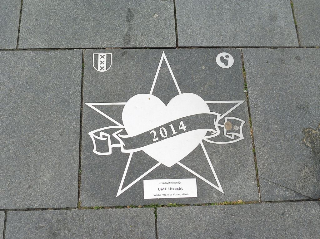 Business Walk of Fame Lucille Werner Foundation - 2014 UMC Utrecht - Amsterdam