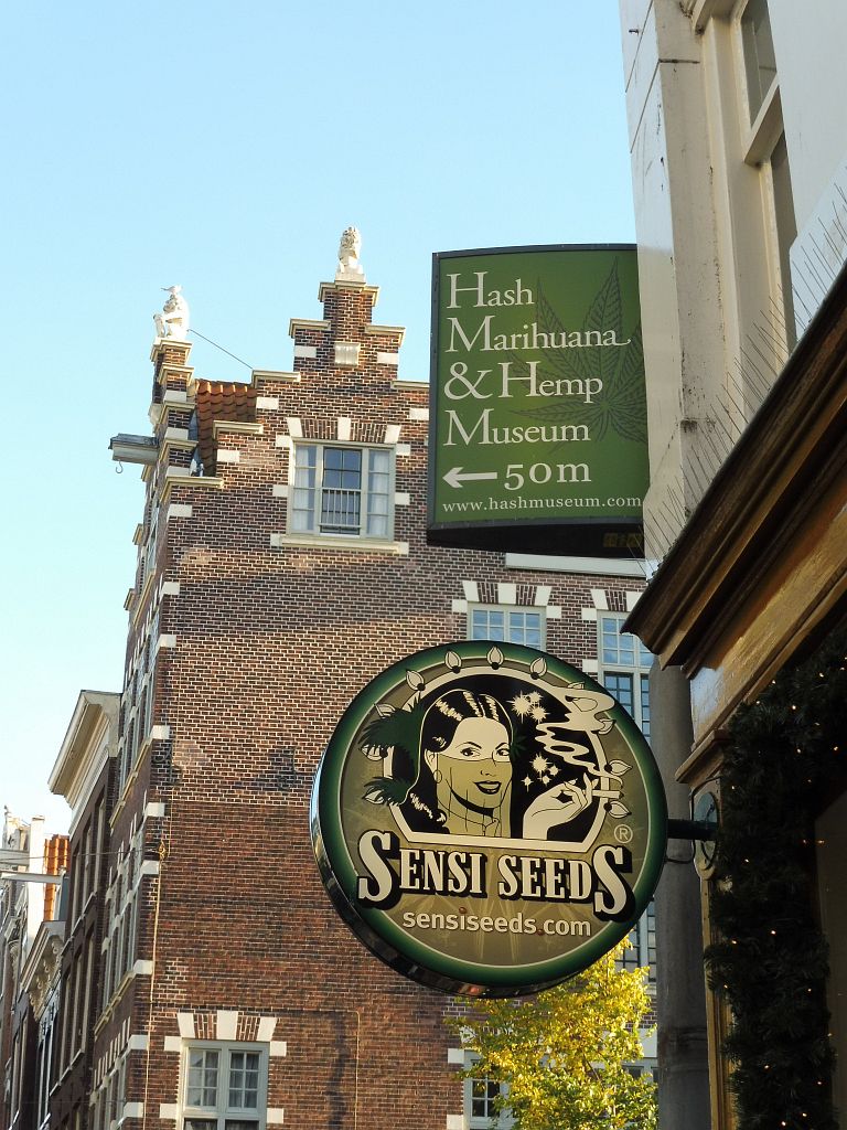 Oude Doelenstraat - Sensi Seeds - Amsterdam
