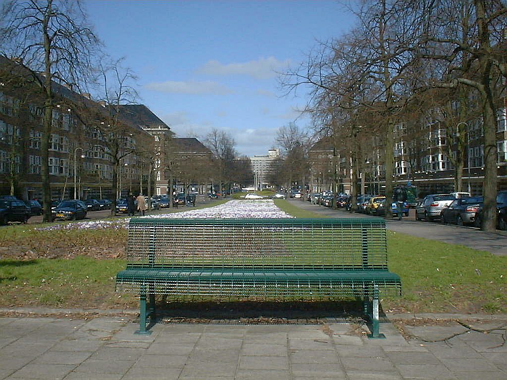 Minervalaan - Amsterdam