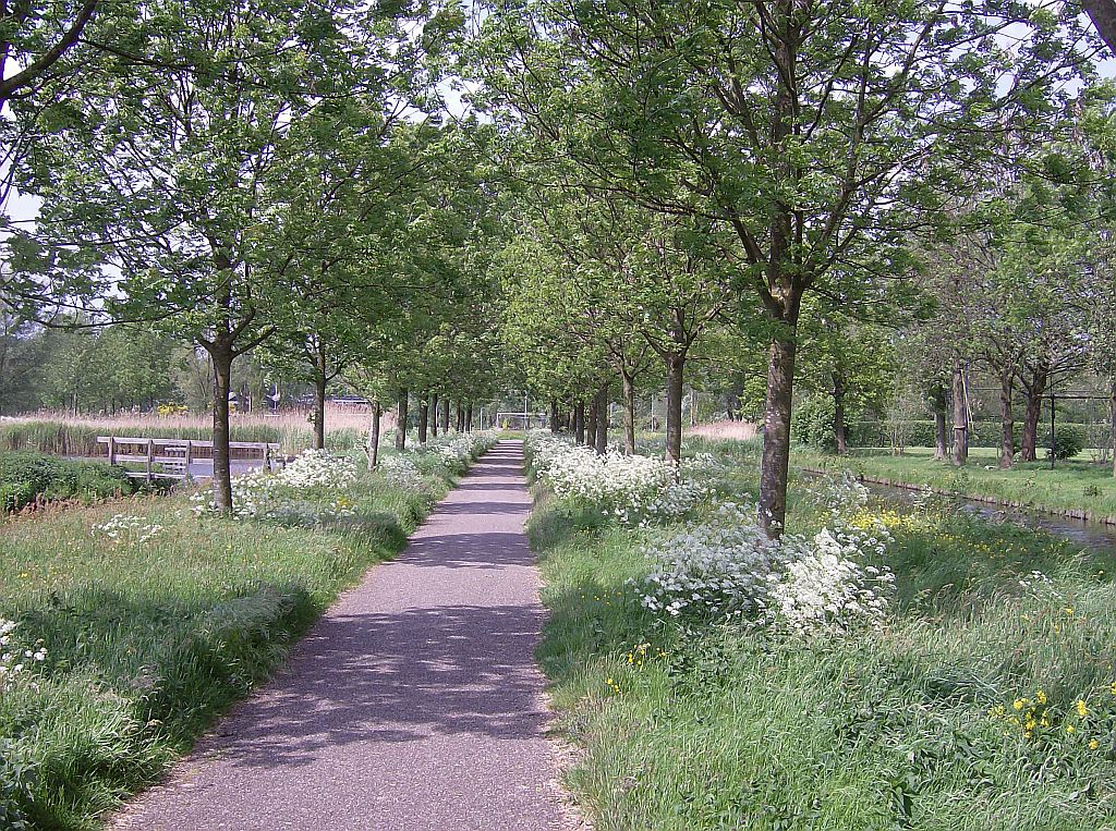 Park Overamstel - Amsterdam