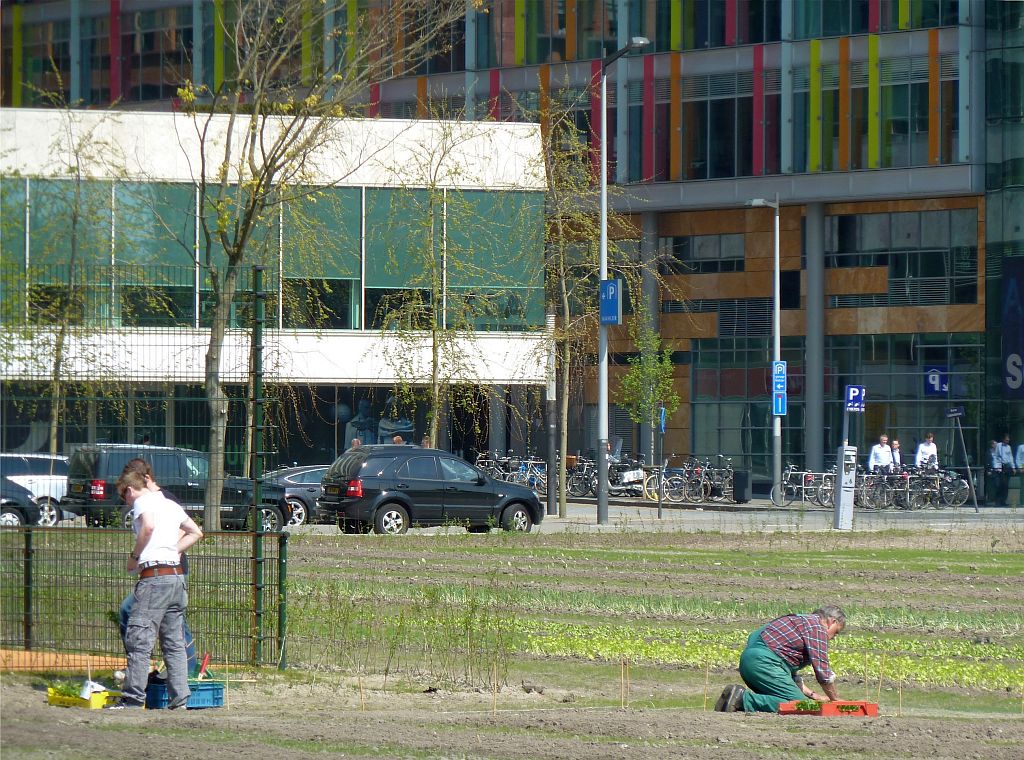 Tijdelijk Park Zuidas - Amsterdam