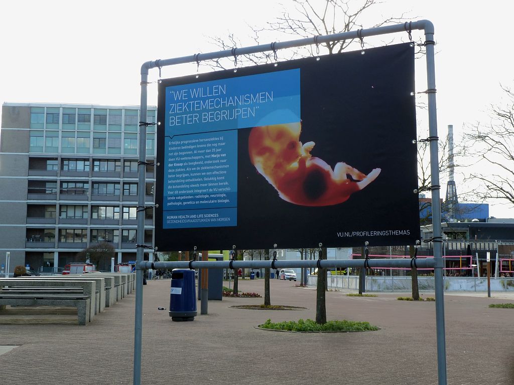 Campustentoonstelling Profileringsthema's - Amsterdam
