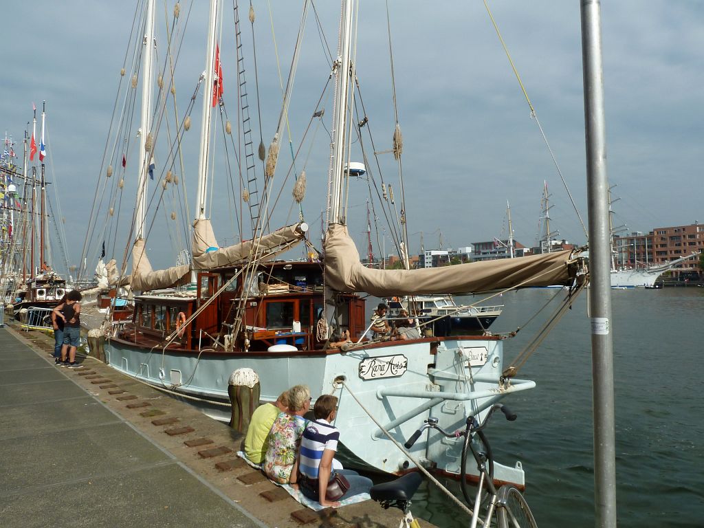 Sail 2015 - Rara Avis - Amsterdam