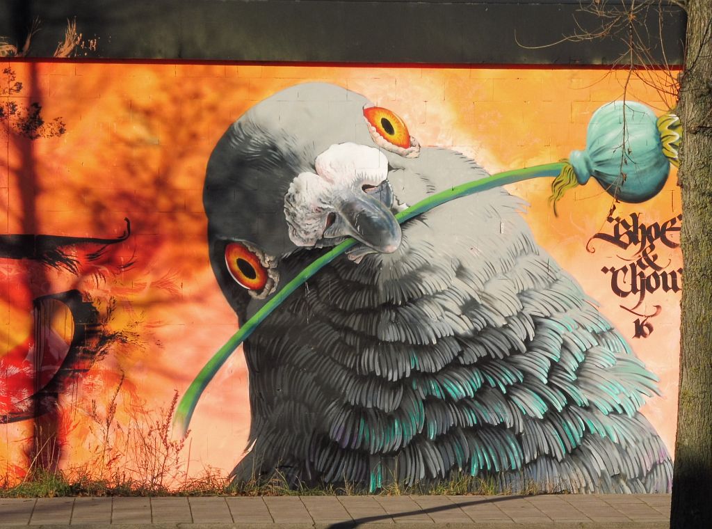 Poppy Pigeon van Adele Renault en Niels Shoe Meulman - Amsterdam