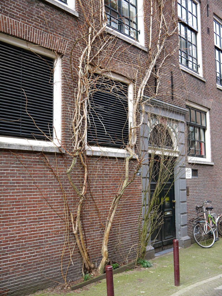 Elandsstraat - Amsterdam